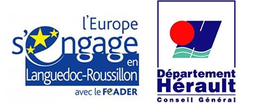 CG et Leader