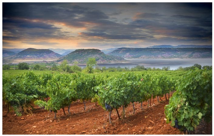 Vignobles & Découvertes
