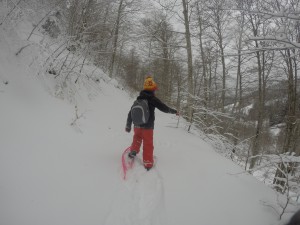 rando raquette aigoual