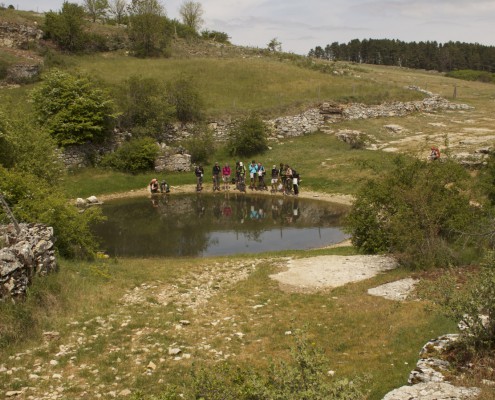 Larzac vtt electrique