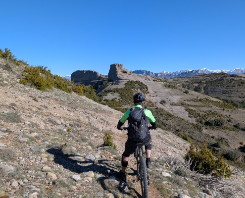 PXL_20260415_081141363